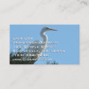 Search for egrets photography White