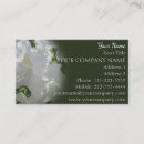 Search for azalea business cards Flower