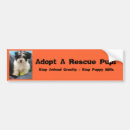 Search for orange and white bumper stickers Pet
