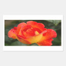 Search for orange rose stickers Floral