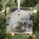 Search for polar bear christmas tree decorations Wild animal