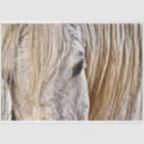 Search for barn tissue paper Decoupage