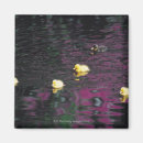 Search for ducklings magnets Nature