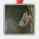 Search for trunk christmas tree decorations Wildlife