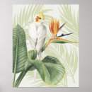 Search for tropical decor posters Orange
