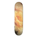 Search for blur skateboards Autumn