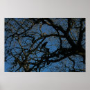 Search for nevermore posters Crow