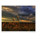Search for hdr art Nature