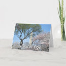 Search for sunset sail cards Tropical