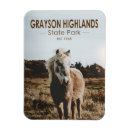 Search for virginia magnets Souvenir