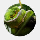 Search for wild animals christmas tree decorations Fun