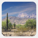 Search for sonoran desert stickers Cactus