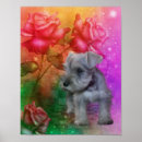 Search for schnauzer puppy posters Pets
