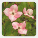 Search for shrubs stickers Floral