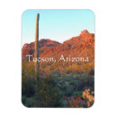 Search for tucson magnets Landscape