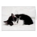 Search for down photography Animal