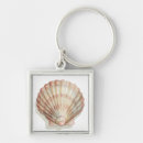 Search for seashell key rings Beach