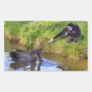 Search for gibbon postcards Primate
