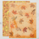 Search for leaves scrapbook paper Orange