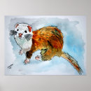 Search for ferret art posters Wildlife