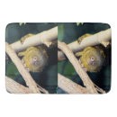 Search for pygmy Primate