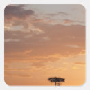 Search for masai stickers Scene