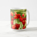 Search for red tulip mugs Photography