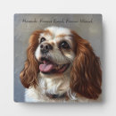 Search for tribute pet memorials Dog loss