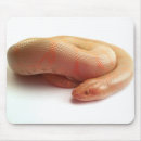Search for boa electronics Snake
