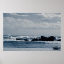 Search for foamy posters Blue
