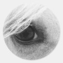 Search for black white horse stickers Equine