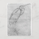 Search for album postcards Study