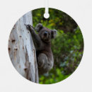 Search for koala christmas tree decorations Australia