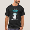 Search for dynamical system Cats