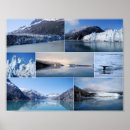 Search for glaciers posters Alaska