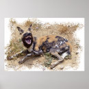 Search for african wild dogs posters Hunting