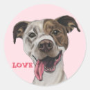 Search for love pit Dog