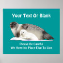 Search for seal art Arctic