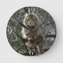 Search for maine coon cat art Animals