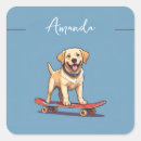 Search for skateboarding stickers Birthday