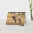 Search for adams cards Wyoming