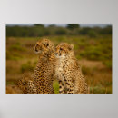 Search for vintage hunting art Landscape