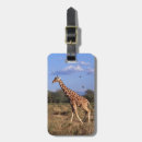 Search for kenya luggage tags Nature