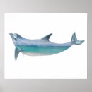 Search for double posters Sea