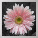 Search for 12x12 posters Flower