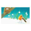 Search for rubecula Easter