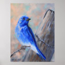 Search for bluebird art Wildlife