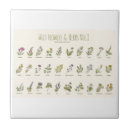Search for herb tiles Flowers