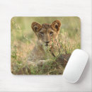 Search for baby lion electronics Big cat