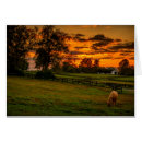 Search for horse sunset postcards Kentucky